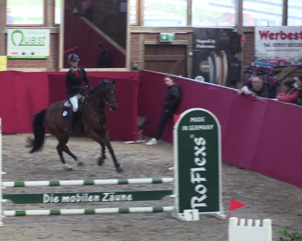 Reitturnier Krumke 2024