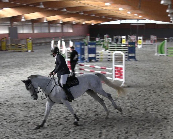 Reitturnier Tremsdorf, Eichenhof 2024