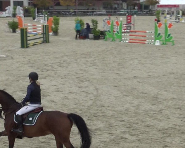 Reitturnier Achern 2024