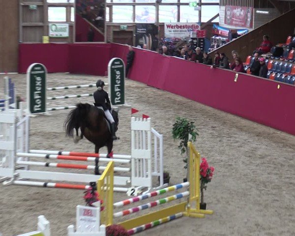 Reitturnier Krumke 2024