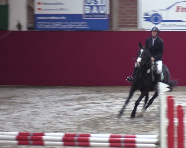 Reitturnier Krumke 2024
