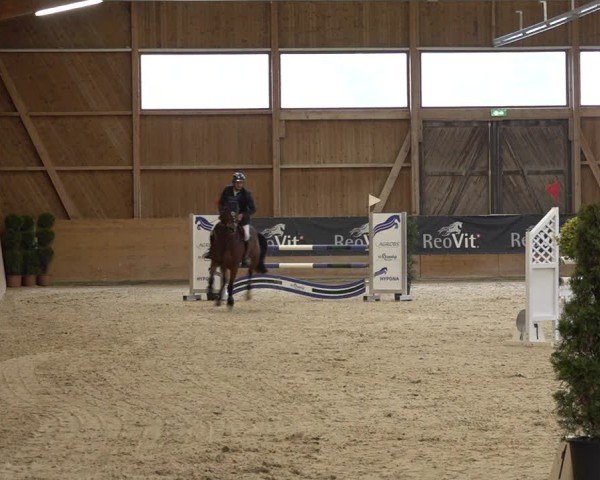 Reitturnier Holziken 2024