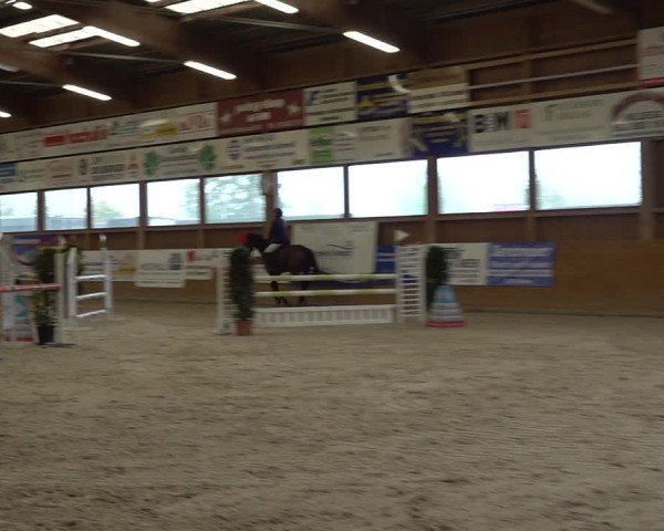 Reitturnier Holziken 2024