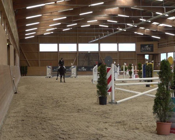 Reitturnier Holziken 2024