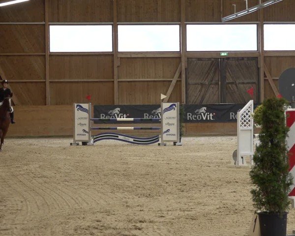 Reitturnier Holziken 2024