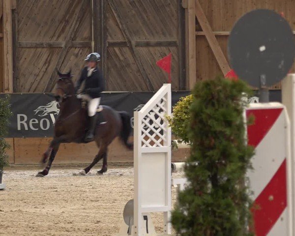 Reitturnier Holziken 2024