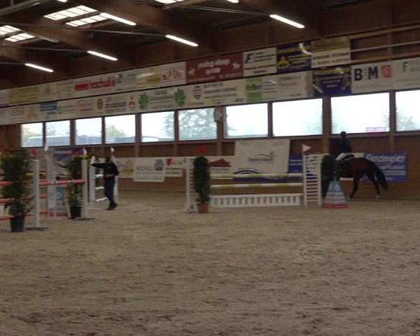 Reitturnier Holziken 2024