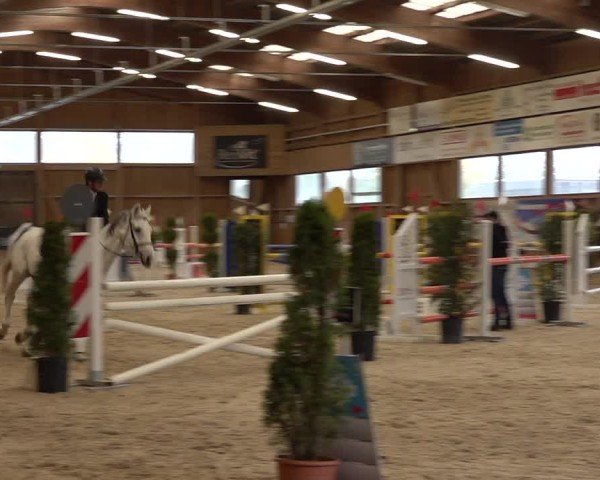 Reitturnier Holziken 2024