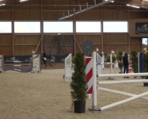 Reitturnier Holziken 2024