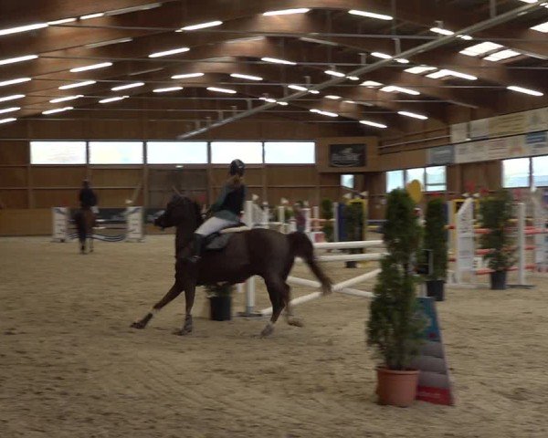 Reitturnier Holziken 2024