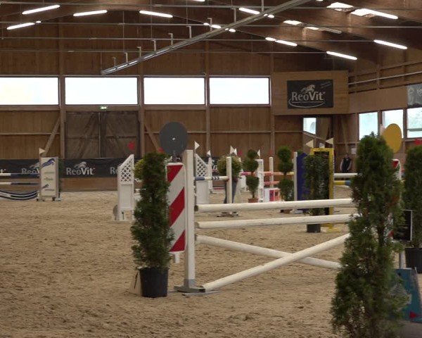 Reitturnier Holziken 2024