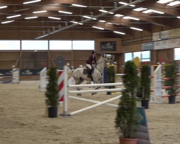 Reitturnier Holziken 2024