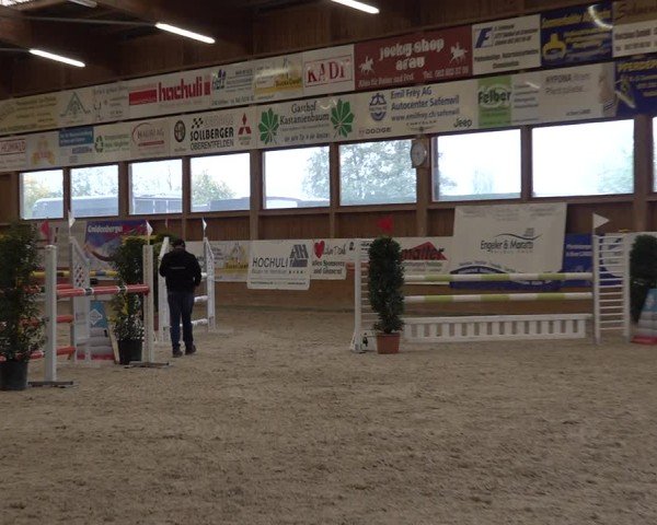 Reitturnier Holziken 2024