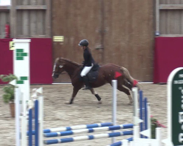 Reitturnier Krumke 2024