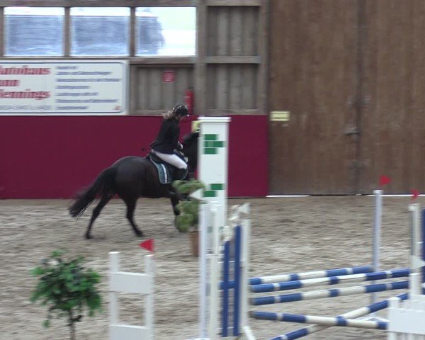 Reitturnier Krumke 2024