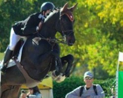 jumper Team Jass du Derby (Hanoverian, 2008, from Fidertanz)