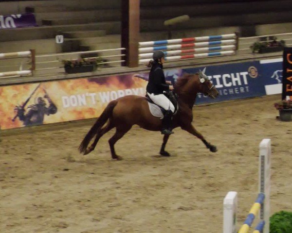 Reitturnier Neuwied 2024