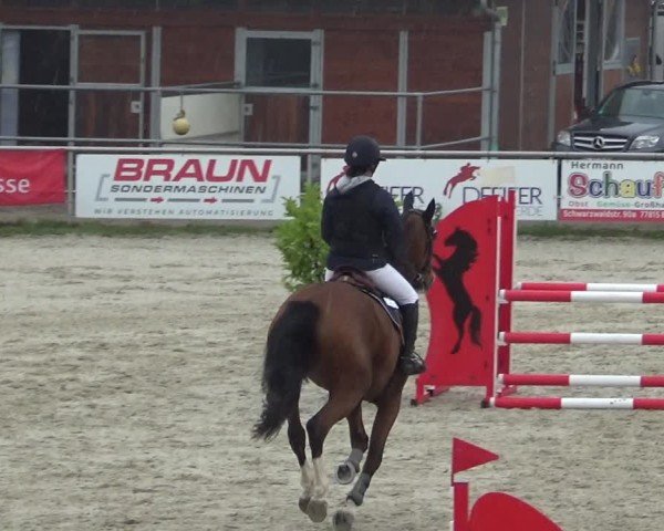 Reitturnier Achern 2024
