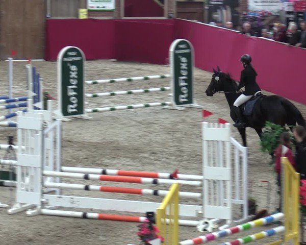Reitturnier Krumke 2024