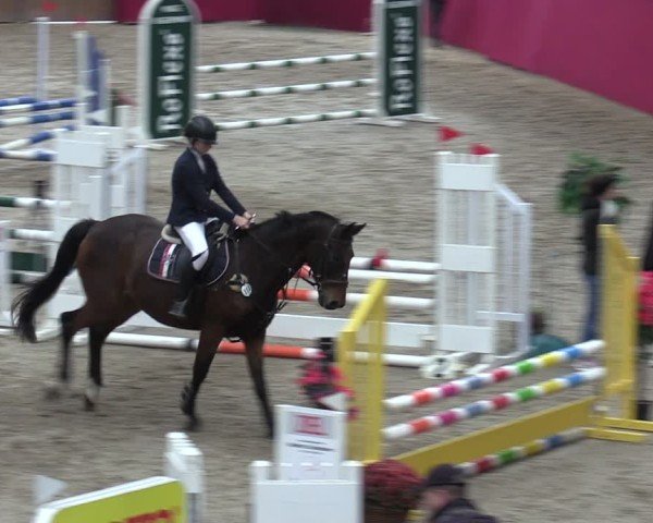 Reitturnier Krumke 2024