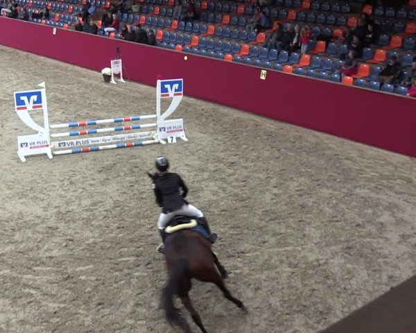 Reitturnier Krumke 2024