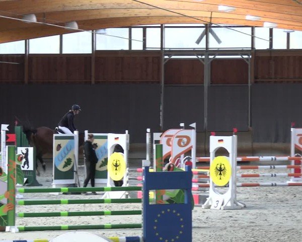 Reitturnier Tremsdorf, Eichenhof 2024