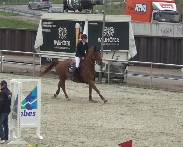 Reitturnier Achern 2024