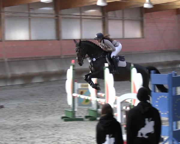 Reitturnier Tremsdorf, Eichenhof 2024