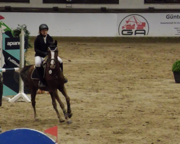 Reitturnier Neuwied 2024