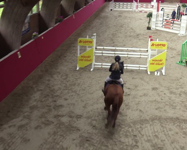 Reitturnier Krumke 2024