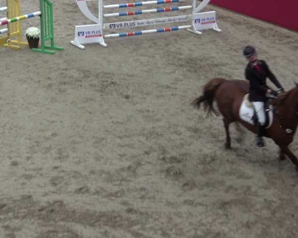 Reitturnier Krumke 2024