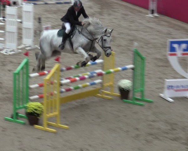 Reitturnier Krumke 2024