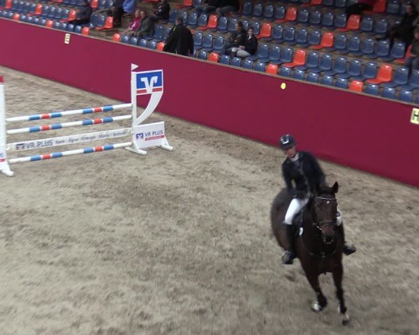Reitturnier Krumke 2024