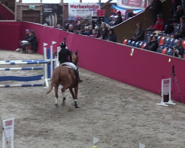 Reitturnier Krumke 2024
