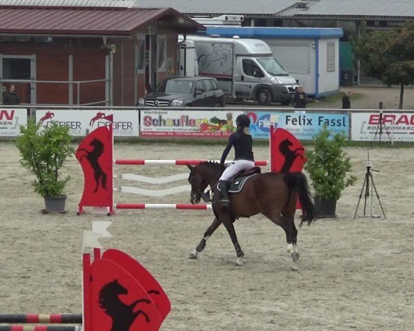Reitturnier Achern 2024