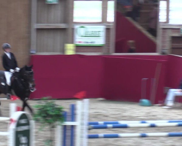 Reitturnier Krumke 2024