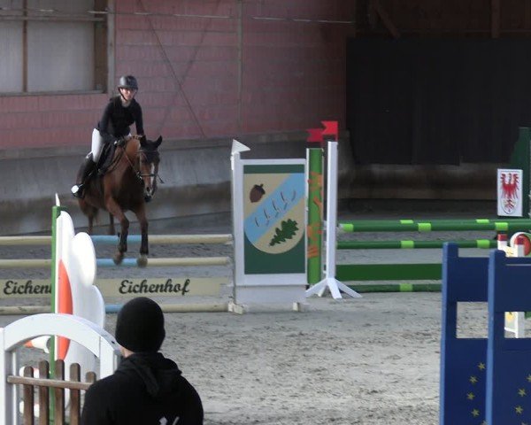 Reitturnier Tremsdorf, Eichenhof 2024