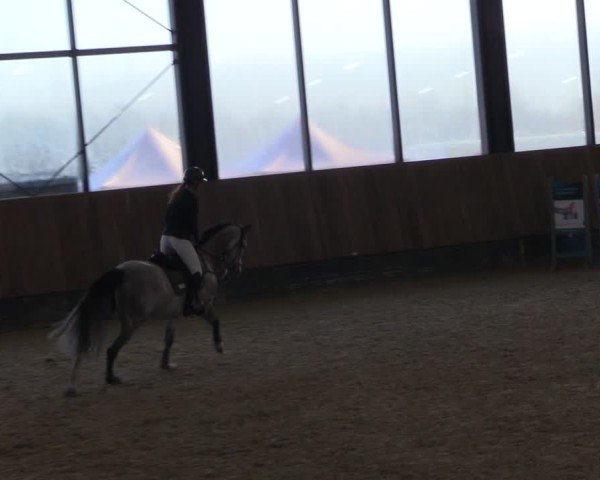 Reitturnier Zwickau 2024