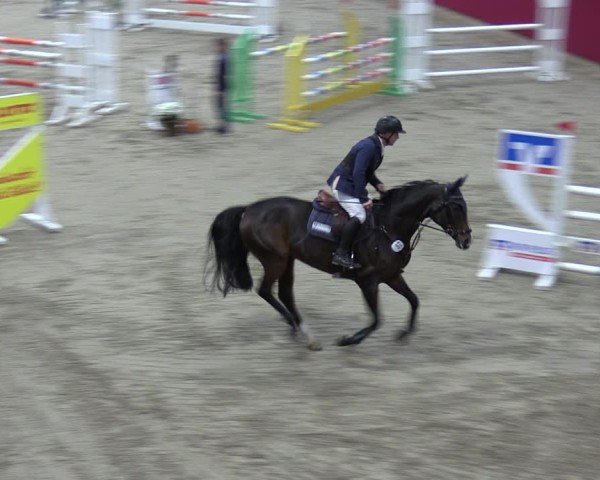 Reitturnier Krumke 2024