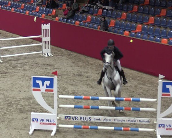 Reitturnier Krumke 2024