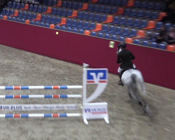 Reitturnier Krumke 2024