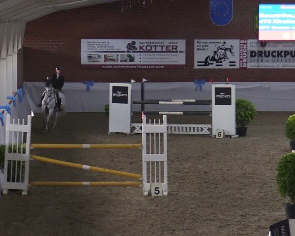 Reitturnier Gronau 2024