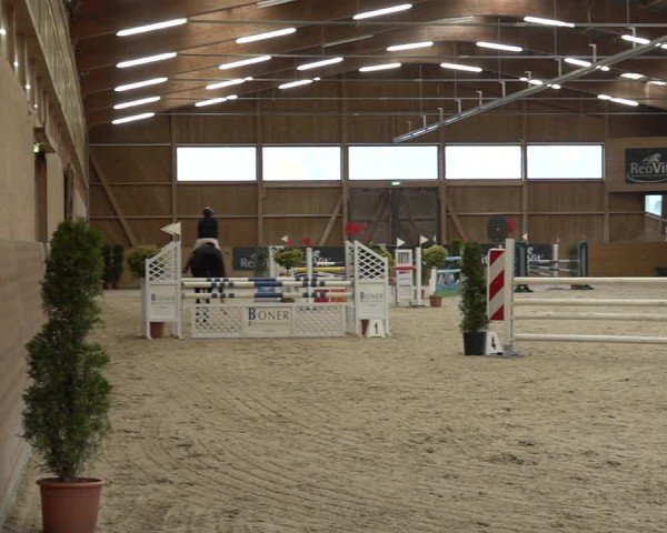 Reitturnier Holziken 2024