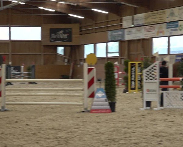 Reitturnier Holziken 2024