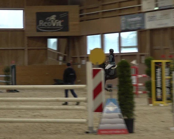 Reitturnier Holziken 2024