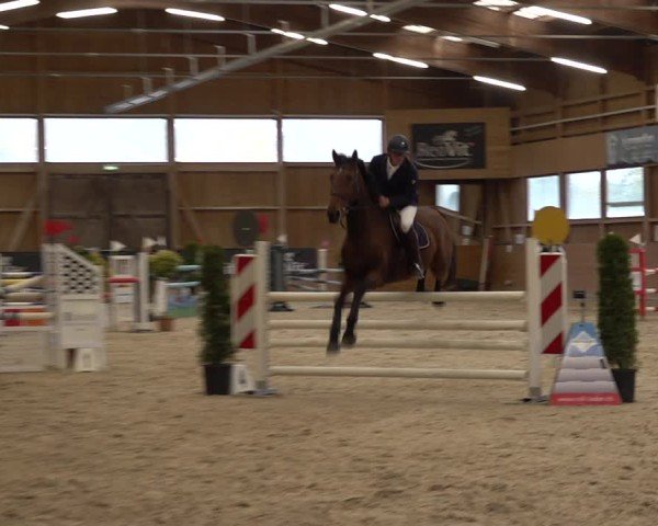 Reitturnier Holziken 2024