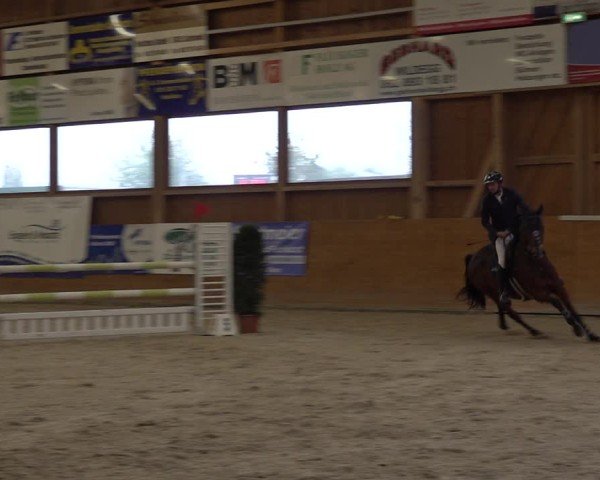 Reitturnier Holziken 2024