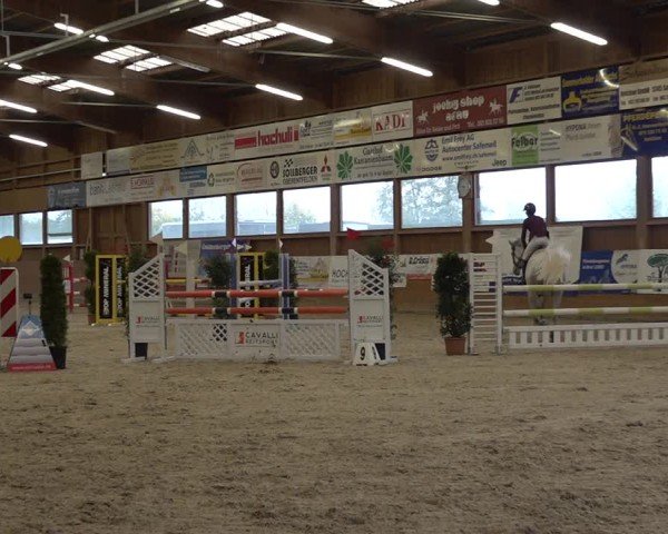 Reitturnier Holziken 2024