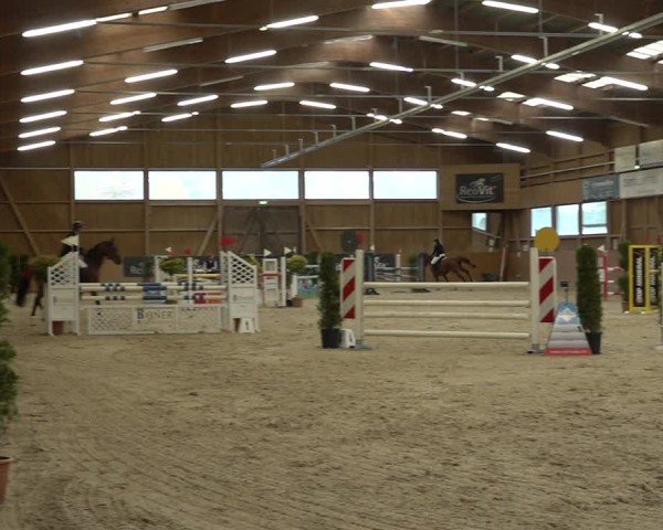Reitturnier Holziken 2024
