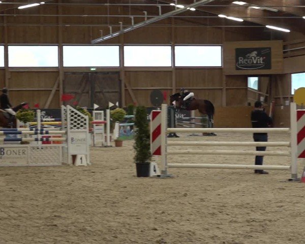 Reitturnier Holziken 2024